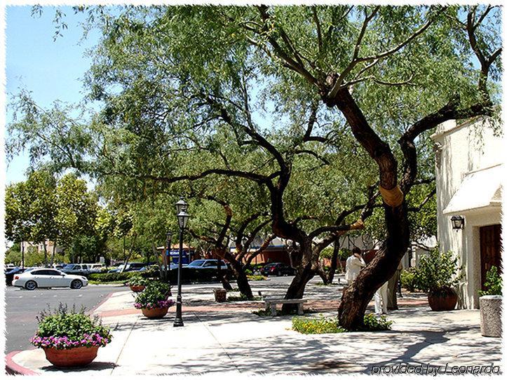 Homewood Suites Tucson St. Philip'S Plaza University Ngoại thất bức ảnh